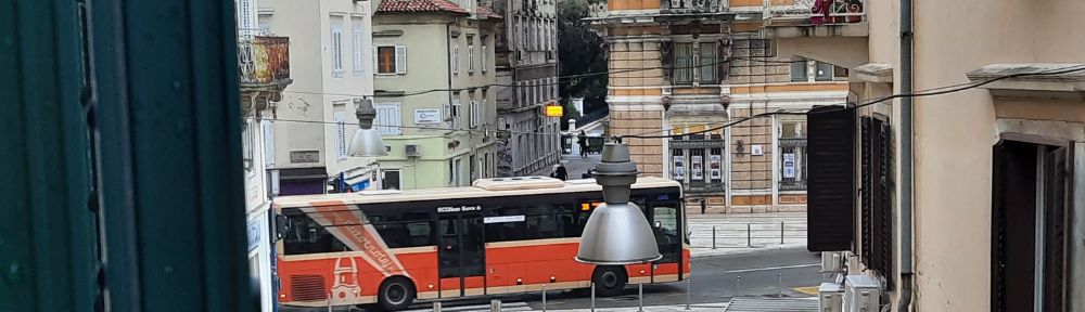 Naglasci i jezični varijeteti