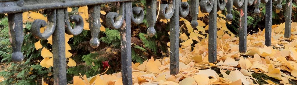 Naglasci i jezični varijeteti